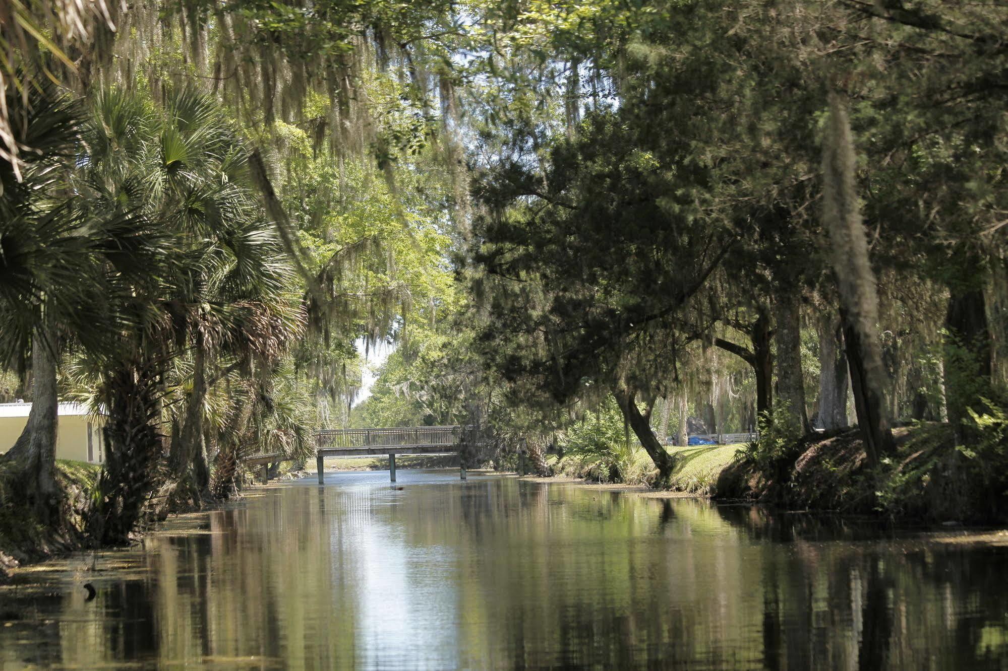 Bulow Rv Resort Flagler Beach Eksteriør bilde